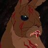 cammydude1