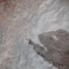 mohamad.hamzeh08