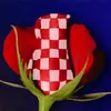 🇭🇷Hrvatske🌹 Ruže 🌹✌️