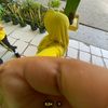 zxzx_cinzz