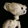 the.bear5811