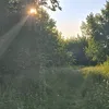 myxa_251
