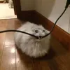 miraonboard