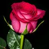 user1959062992787