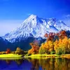 tm.minh5683