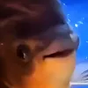 as_213.1