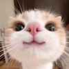 ng.kah.hoong12345