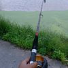 muaztrio