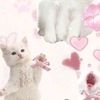 nadiya.safira.put