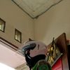 rohmansyah.babyblack07