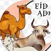 alrazhiq