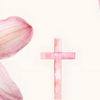 edwina022