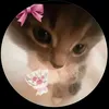 giadacapp