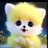 kabootar.badshah.k