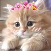 hnin.pwint5733