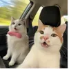 kupaalllllkano1