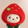 fayrin_4