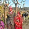himal.oli388