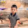 thanhdin86