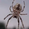 he44778