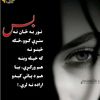 rahmani.tipest
