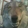 usernamenichga