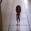 georgeh.2024