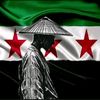 omar163590