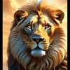 user8134480595226