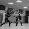 rakovina83