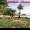 user2382320749586