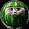 dllswag