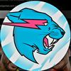 mrbeastfan479