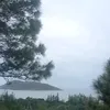 zerorei89