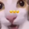 whylife_1