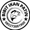 bibit_ikanpatin_jambi