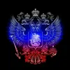vivit_11