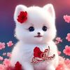 user6827677661104