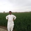 masood.jatoi96