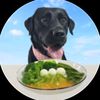 dondoneatingfood