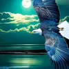 zainab186331