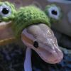 unlistedwatergodking2