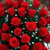 rosa.batista70