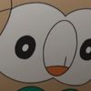 poyo.star