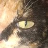user892070110
