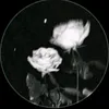 lil_xi04