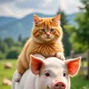 ruslan_2631