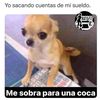 daya8_5