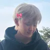 teagioshi
