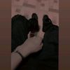 valdemar_15.0